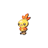 Shiny Torchic